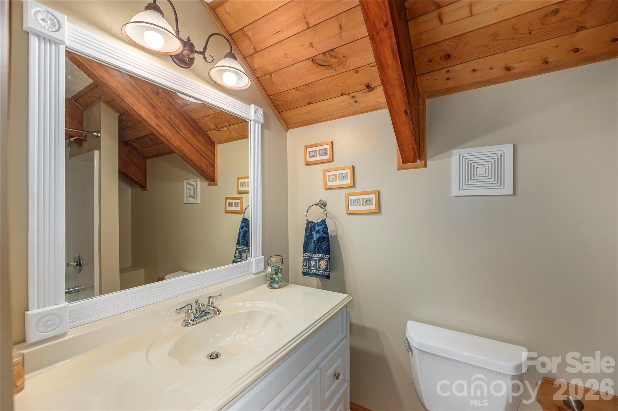 116 Ivy Road Mills River, NC 28759 - Photo 30 of 45 a bathroom with a sink a toilet and mirror