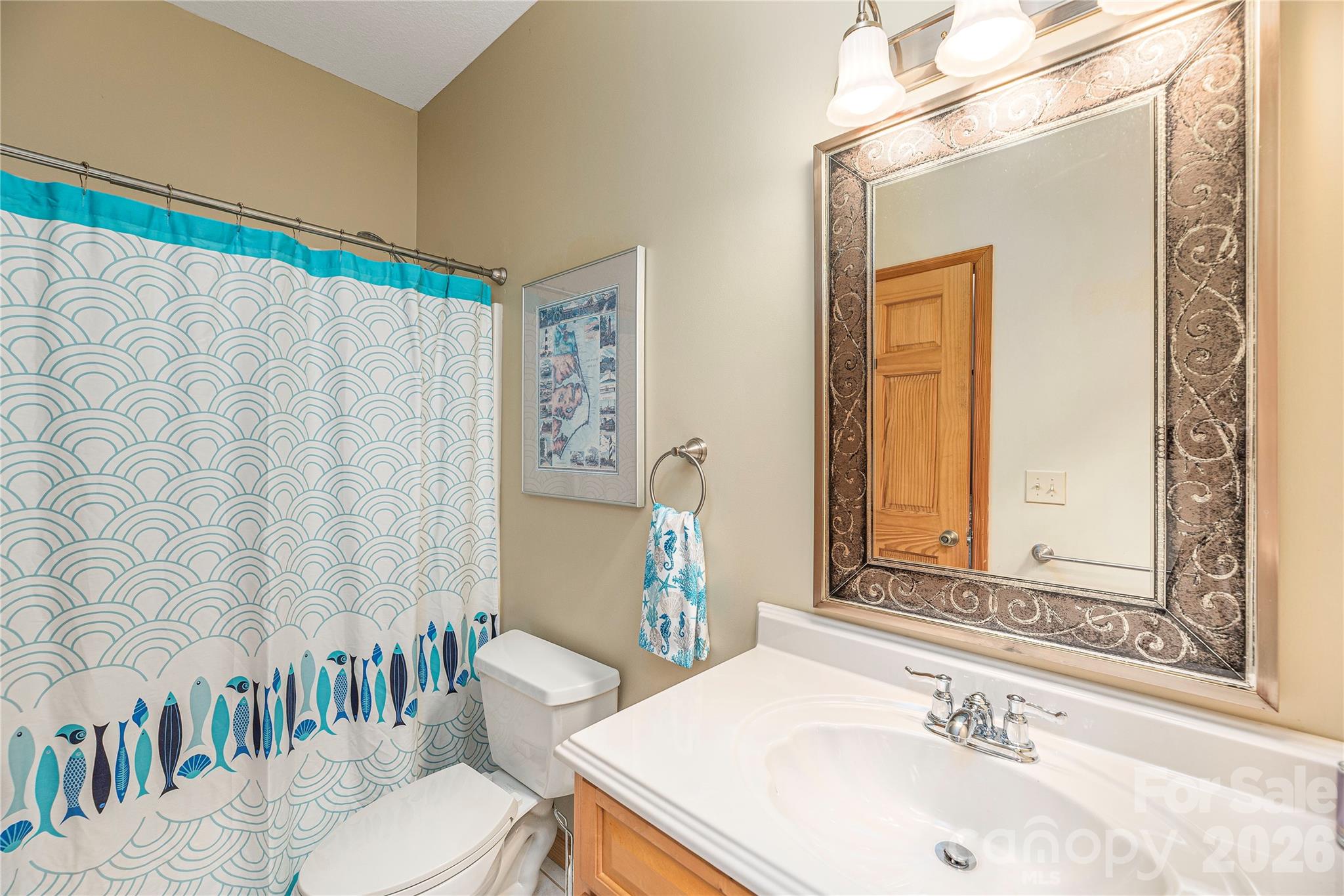 116 Ivy Road Mills River, NC 28759 - Photo 33 of 45 a bathroom with a sink and a mirror