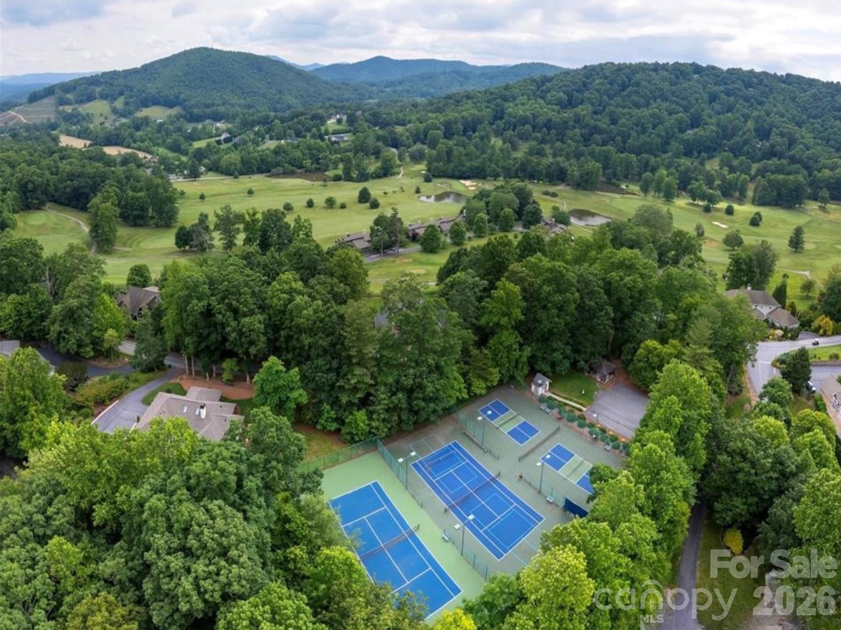 116 Ivy Road Mills River, NC 28759 - Photo 44 of 45 an aerial view of a house with a yard