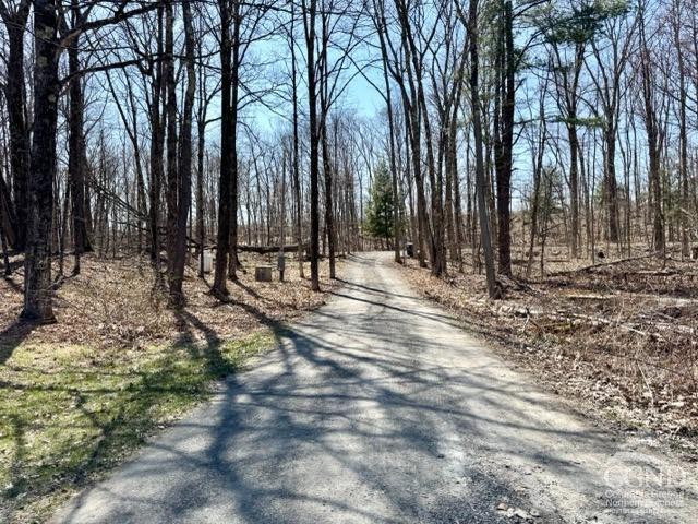 119 Kropp Road Westerlo, NY 12193 - Photo 27 of 29 Photo 27