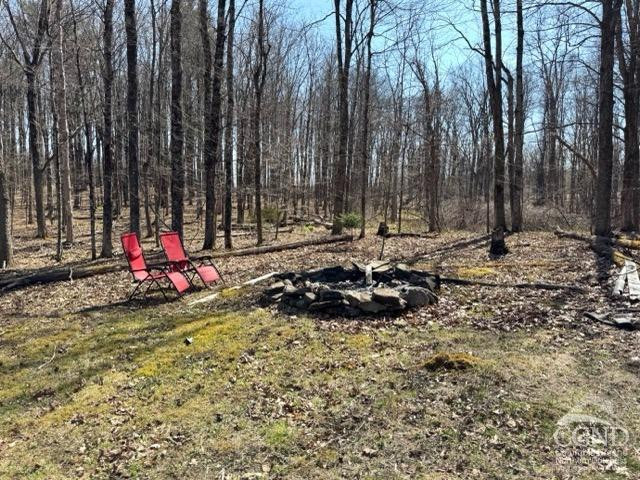 119 Kropp Road Westerlo, NY 12193 - Photo 28 of 29 Photo 28