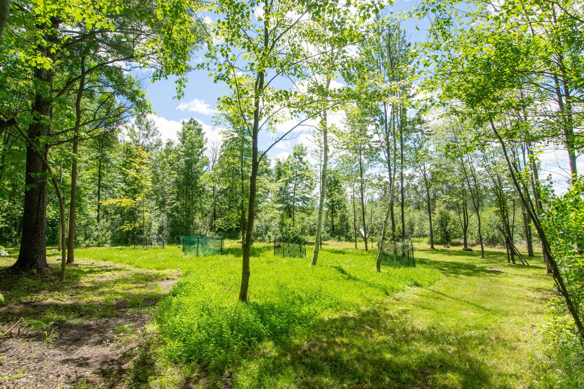 15415 Goshawk Street Tamarack, MN 55787 - Photo 9 of 32