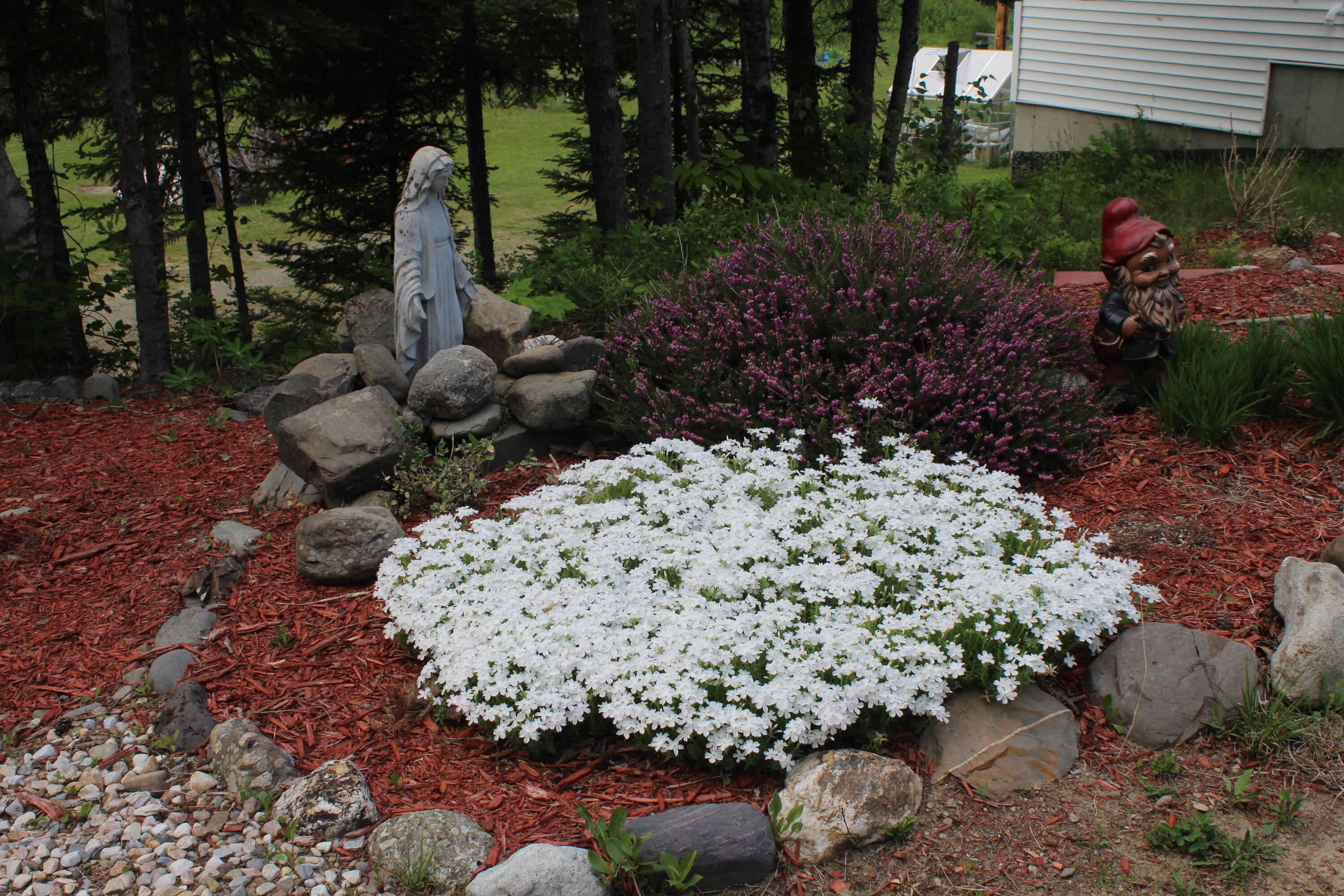 229 River Road Oakfield, ME 04763 - Photo 74 of 87 IMG_5171 - Copy