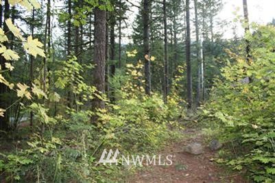 8435 Hazel Court Maple Falls, WA 98266 - Photo 1 of 1 Gallery Image 1