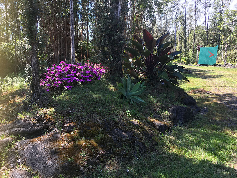 16-1429 Hopue Road Mountain View, HI 96771 - Photo 22 of 28 Gallery Image 22