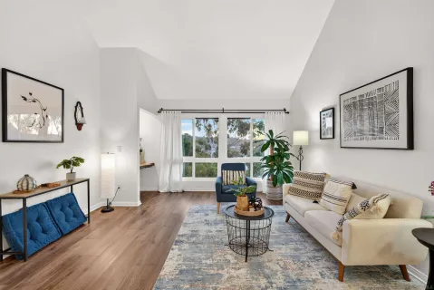 a living room with furniture potted plant and window