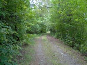 384 Toothaker Pond Road Phillips, ME 04966 - Photo 10 of 16 Other. Driveway