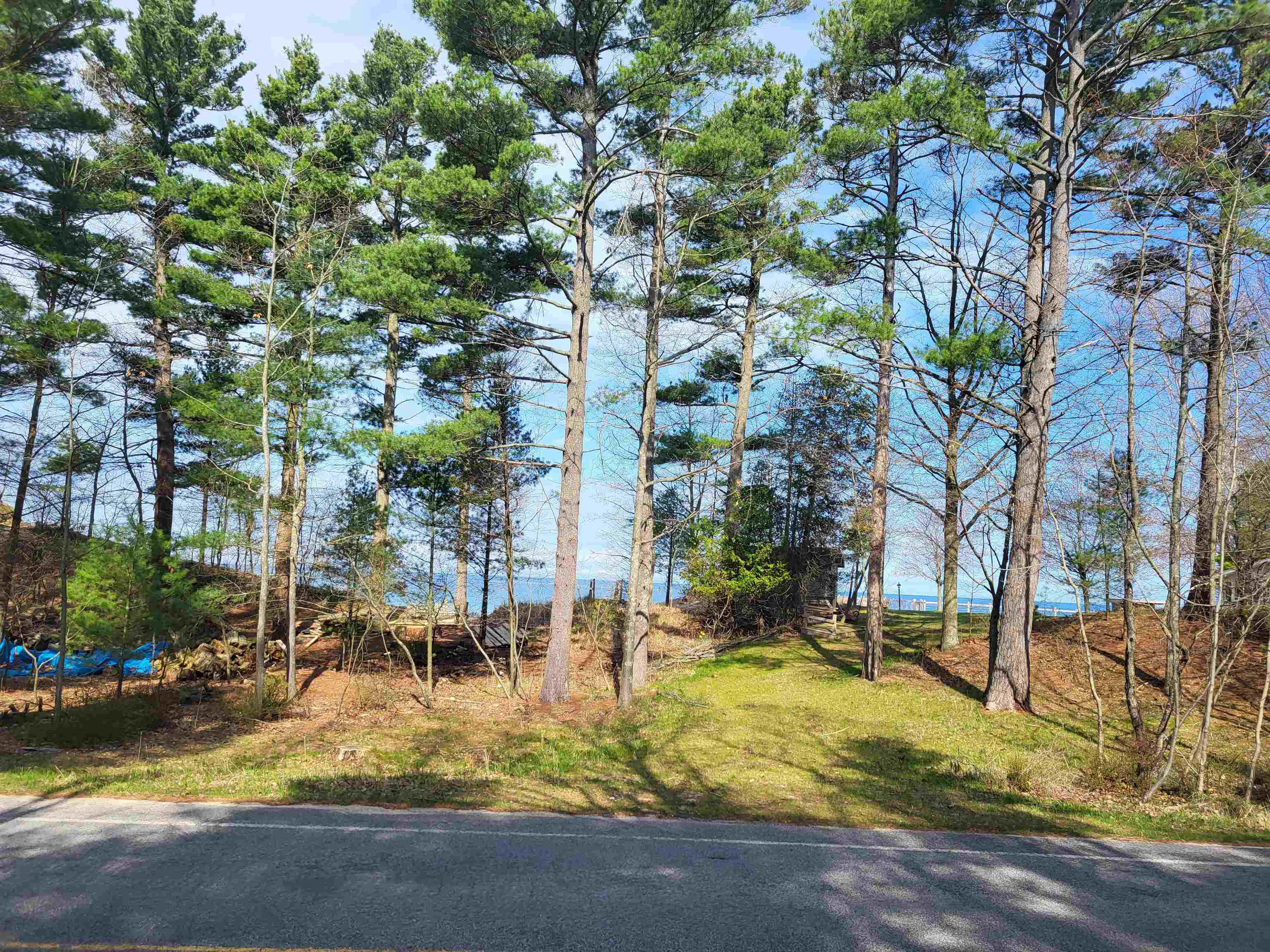 0 Lakeshore Road Manistee, MI 49660 - Photo 18 of 21 1910239-17.JPG