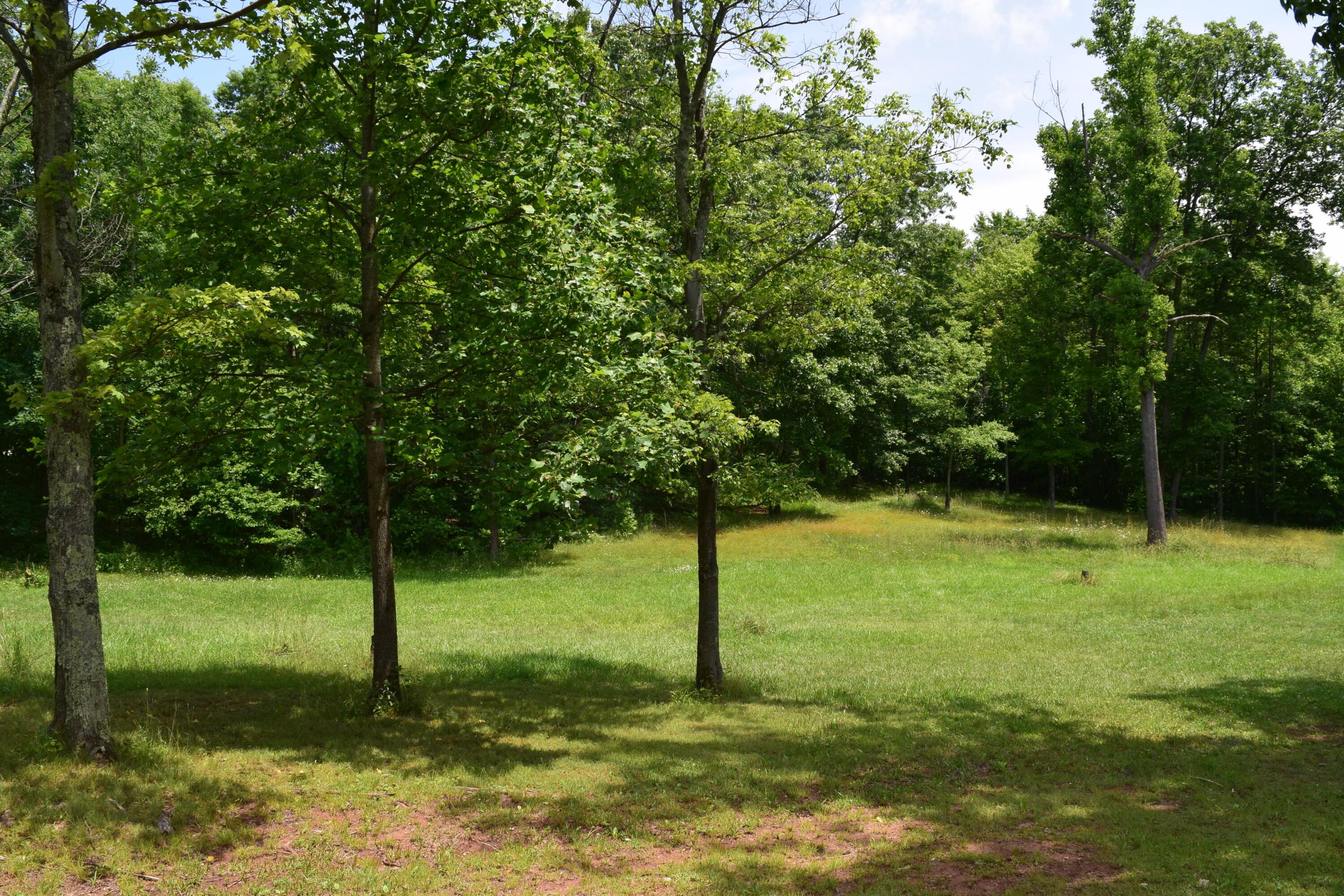 53346 1/2 Fry Road Pleasant City, OH 43772 - Photo 30 of 30 2023-06-21 12.43.07