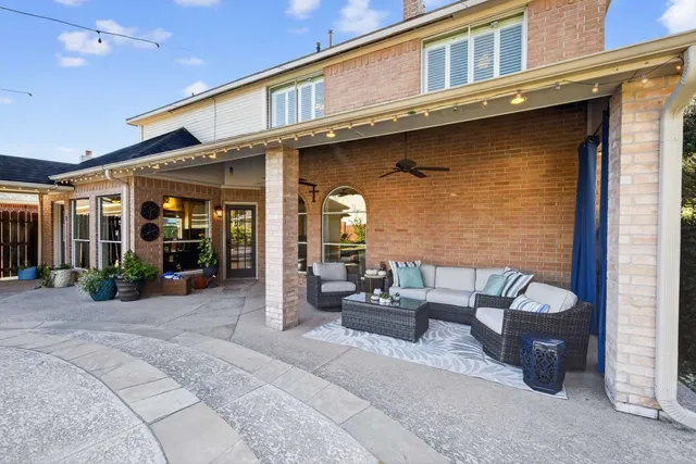 a view of a garden with plants and a bench