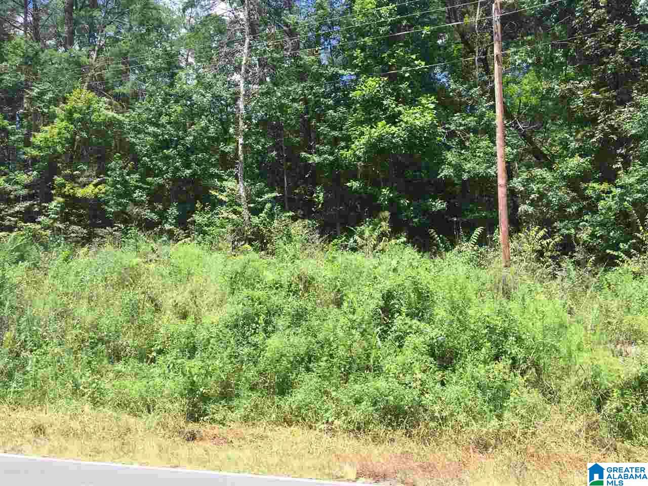 0 Old Springville Road, Unit 2 Pinson, AL 35126 - Photo 5 of 8