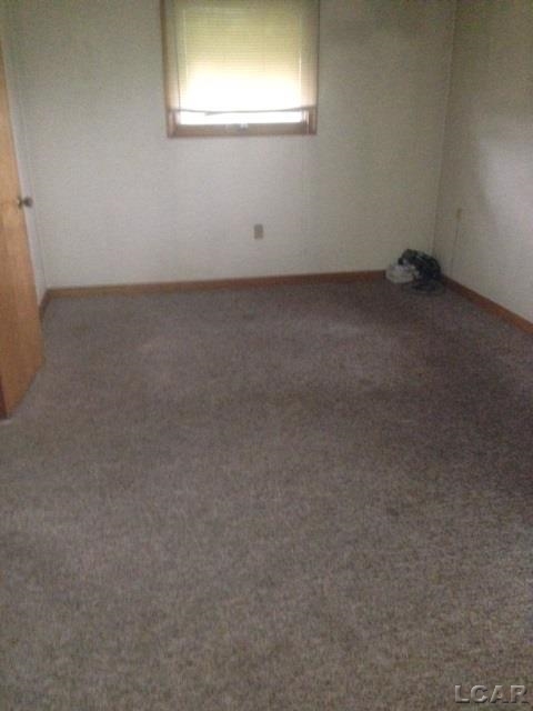 6307 East Ridgeville Road Blissfield, MI 49228 - Photo 5 of 12