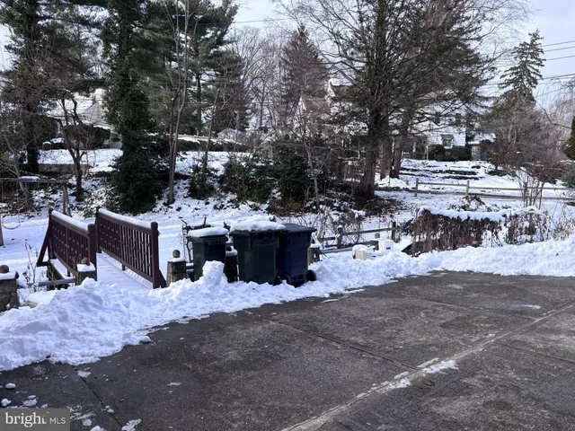 a view of a yard with a large tree