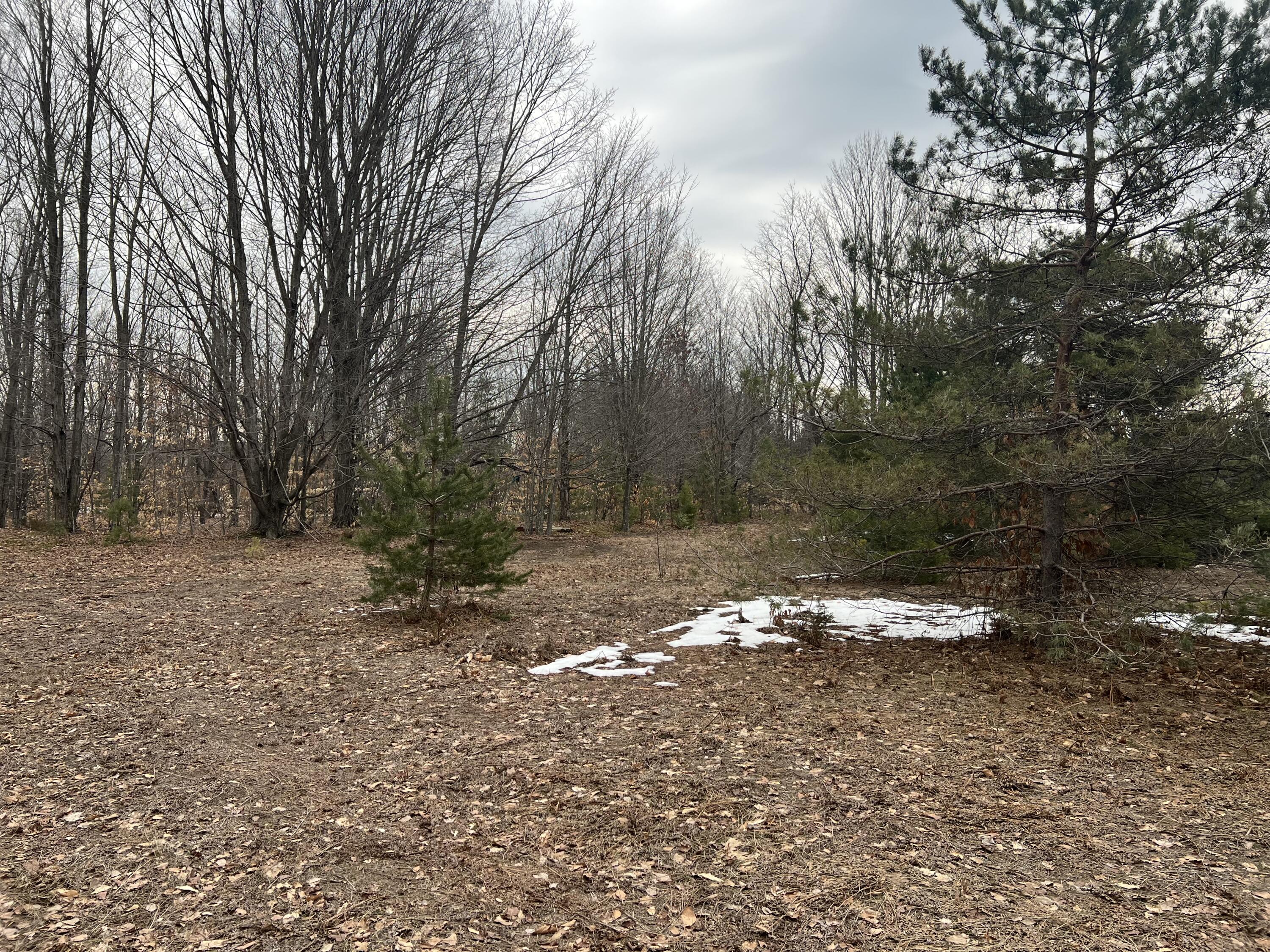 Quarter Line Road Manistee, MI 49660 - Photo 2 of 8 IMG_5910