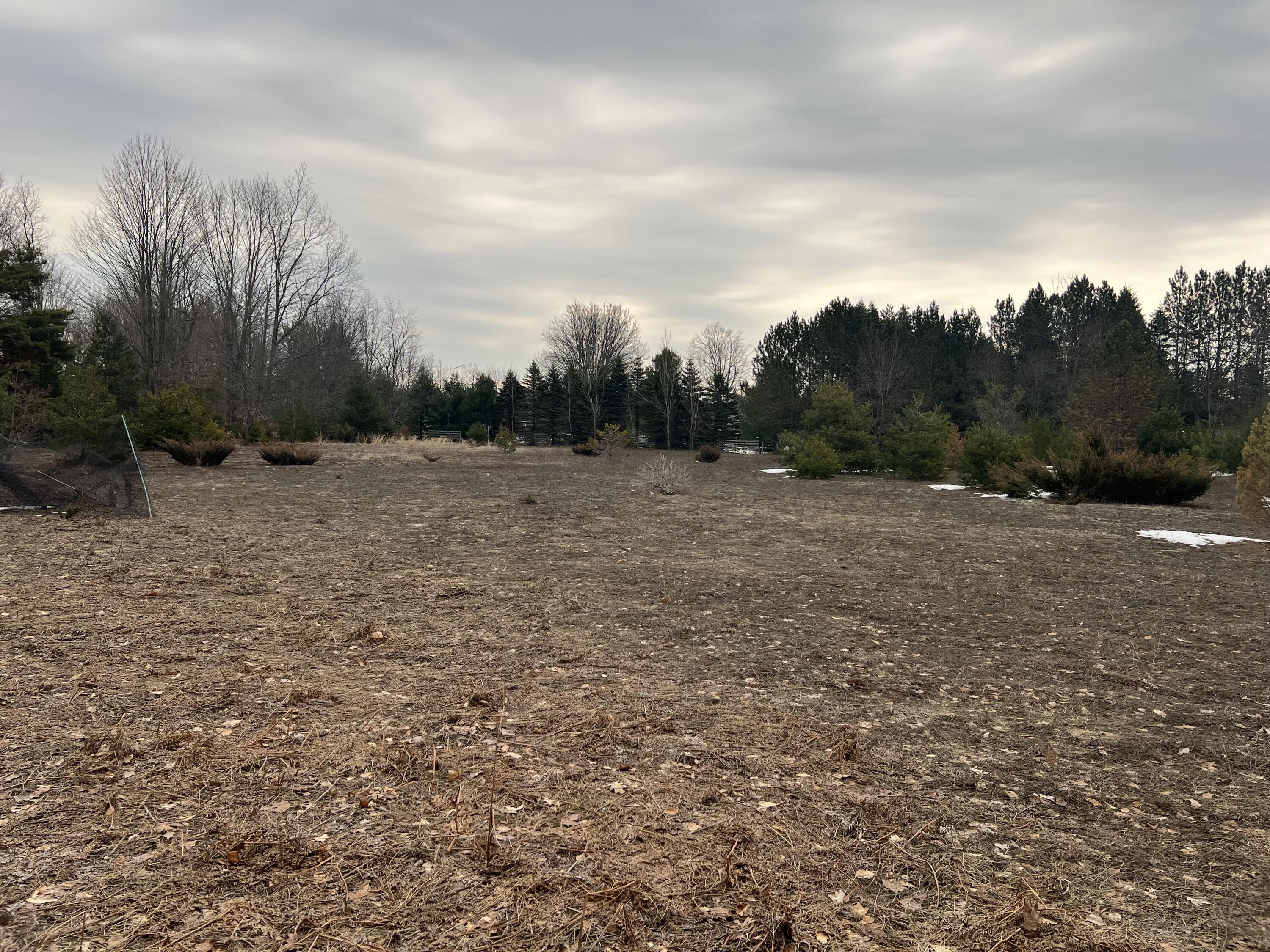 Quarter Line Road Manistee, MI 49660 - Photo 4 of 8 IMG_5908