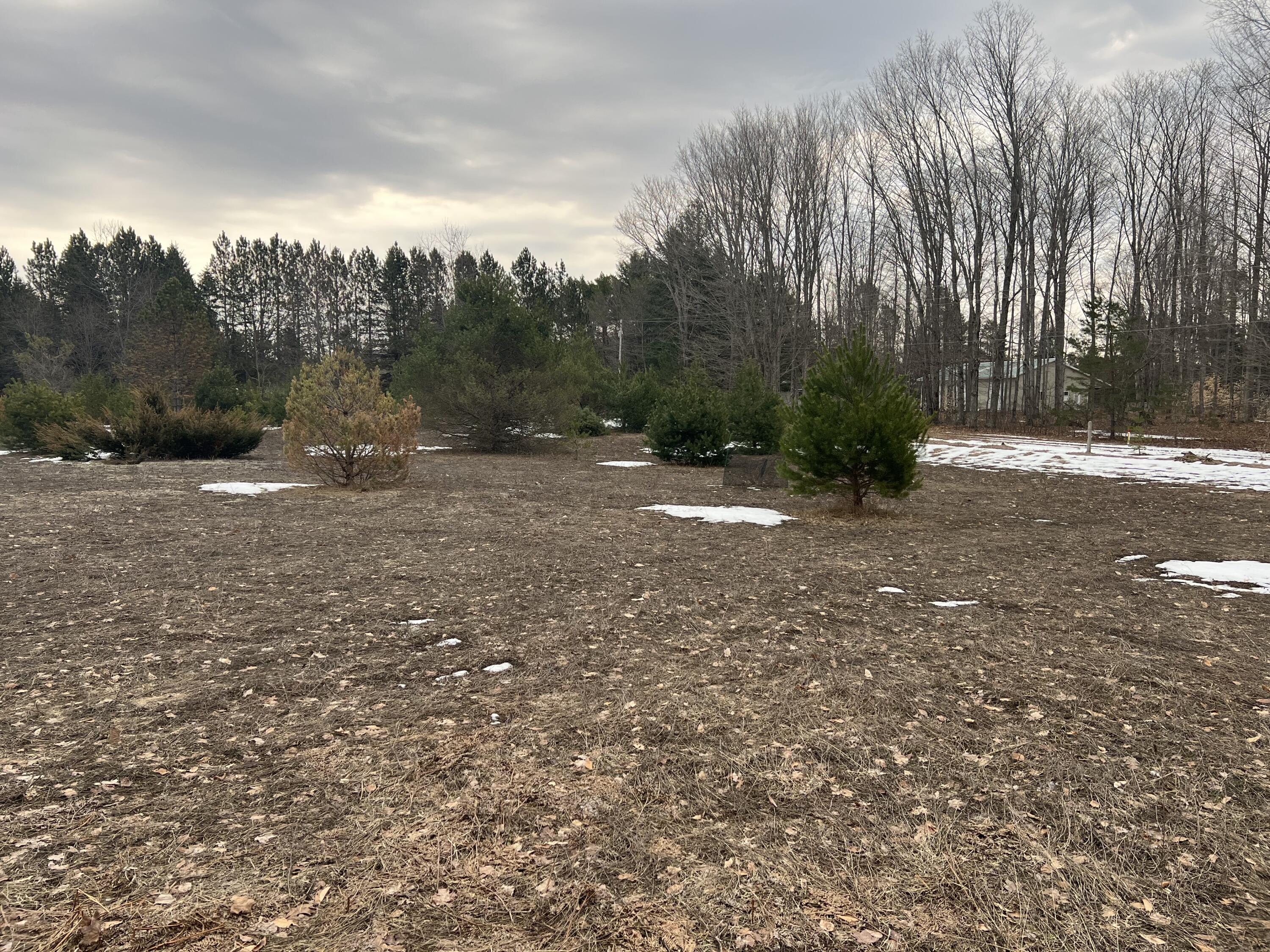 Quarter Line Road Manistee, MI 49660 - Photo 5 of 8 IMG_5909