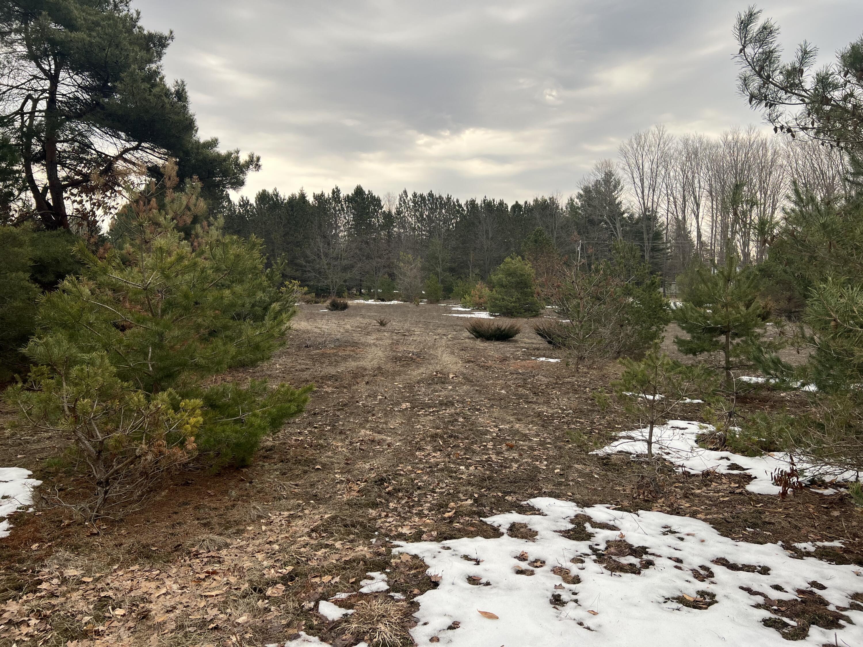 Quarter Line Road Manistee, MI 49660 - Photo 6 of 8 IMG_5911
