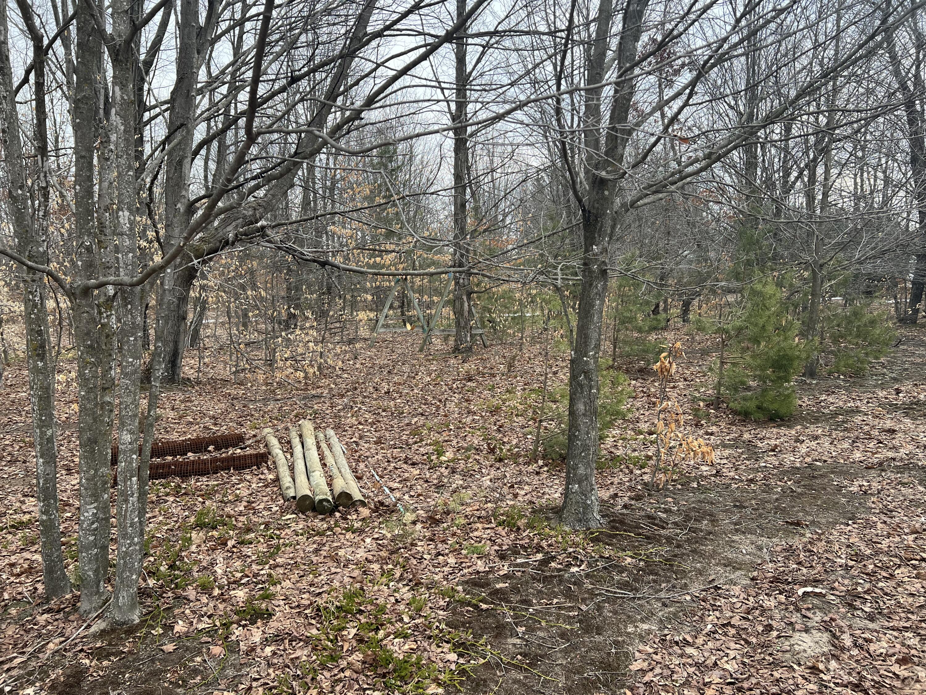 Quarter Line Road Manistee, MI 49660 - Photo 7 of 8 IMG_5912