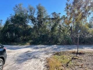 Hagar Drive New Port Richey, FL 34654 - Photo 1 of 10 a view of backyard with green space