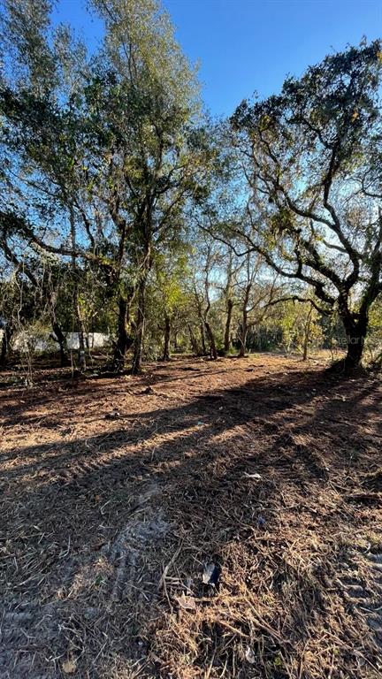 Hagar Drive New Port Richey, FL 34654 - Photo 3 of 10 a view of dirt yard with a large tree