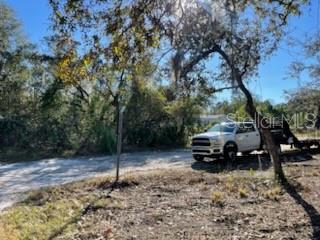 Hagar Drive New Port Richey, FL 34654 - Photo 7 of 10 a car parked in the middle of a forest