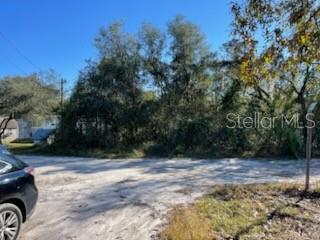 Hagar Drive New Port Richey, FL 34654 - Photo 8 of 10 a view of backyard with green space