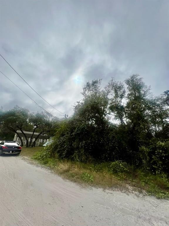 Hagar Drive New Port Richey, FL 34654 - Photo 9 of 10 a view of car parked on road with trees