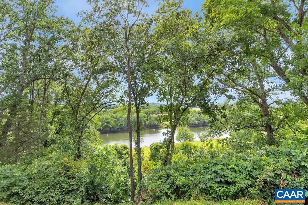 343 Wyland Road Buckingham, VA 23921 - Photo 25 of 46 a backyard of a house with lots of green space and lake view