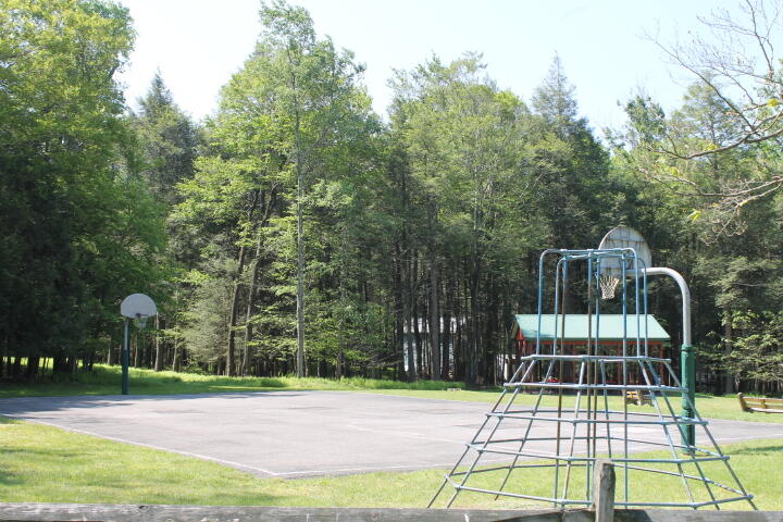 51 Blue Spruce Road Albrightsville, PA 18210 - Photo 41 of 48 IMG_2520