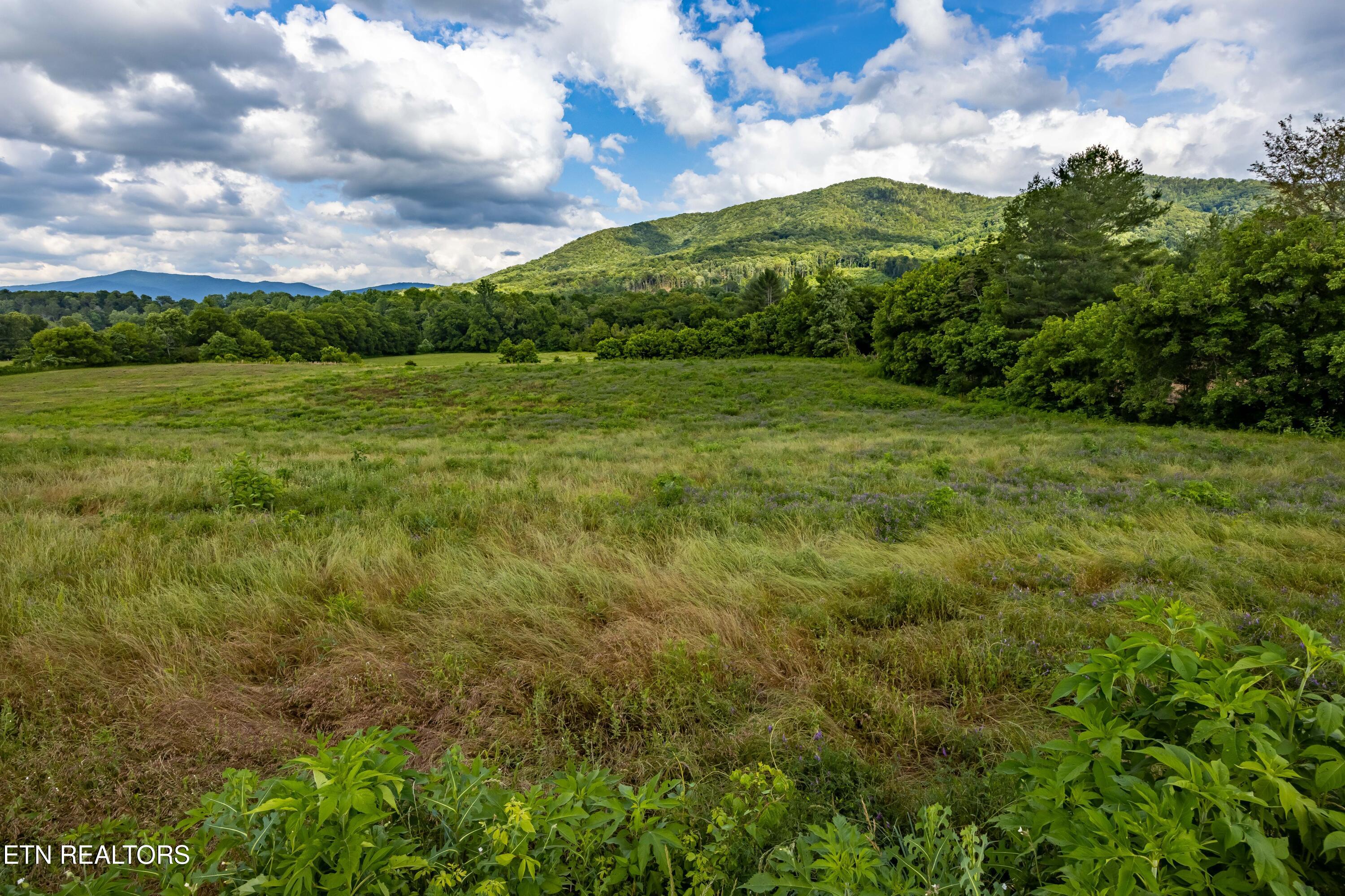 Lot 3-r2 Holders Grove Road Cosby, TN 37722 - Photo 1 of 14 Lot 3R2 Holders Grove Road