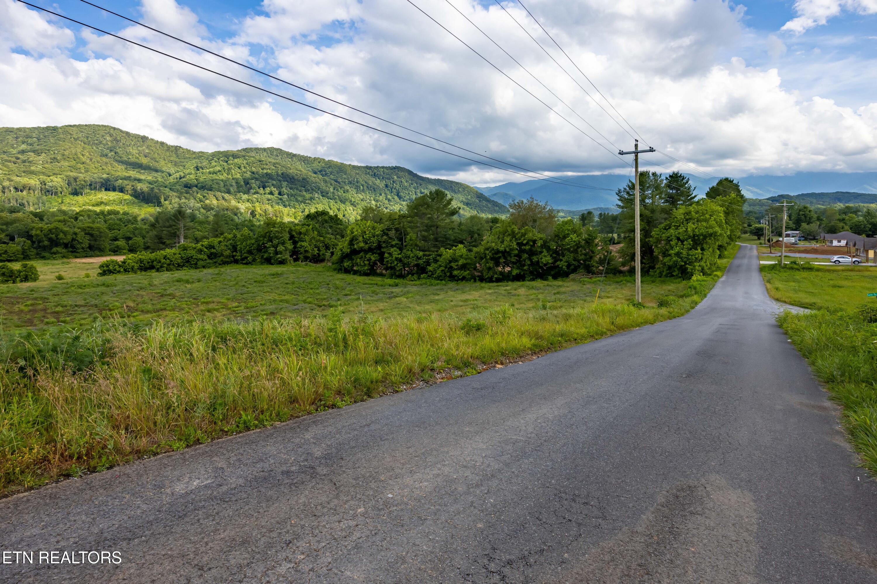 Lot 3-r2 Holders Grove Road Cosby, TN 37722 - Photo 11 of 14 Lot 3R2 Holders Grove Road