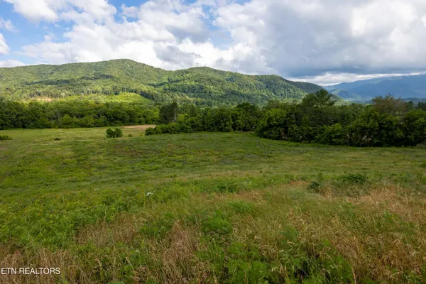 $325,000 | Lot 3-r2 Holders Grove Road, Cosby, TN 37722