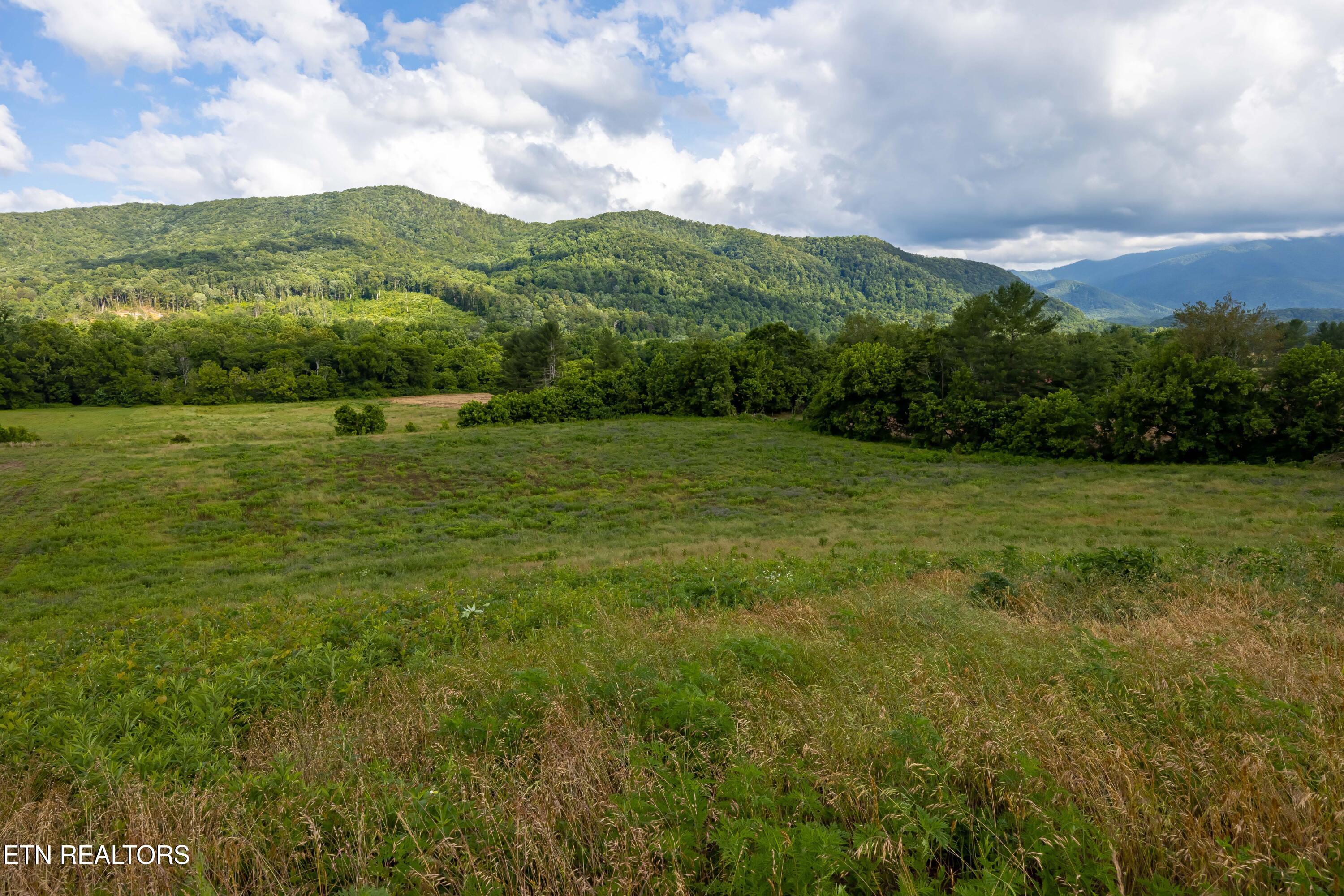 Lot 3-r2 Holders Grove Road Cosby, TN 37722 - Photo 12 of 14 Lot 3R2 Holders Grove Road