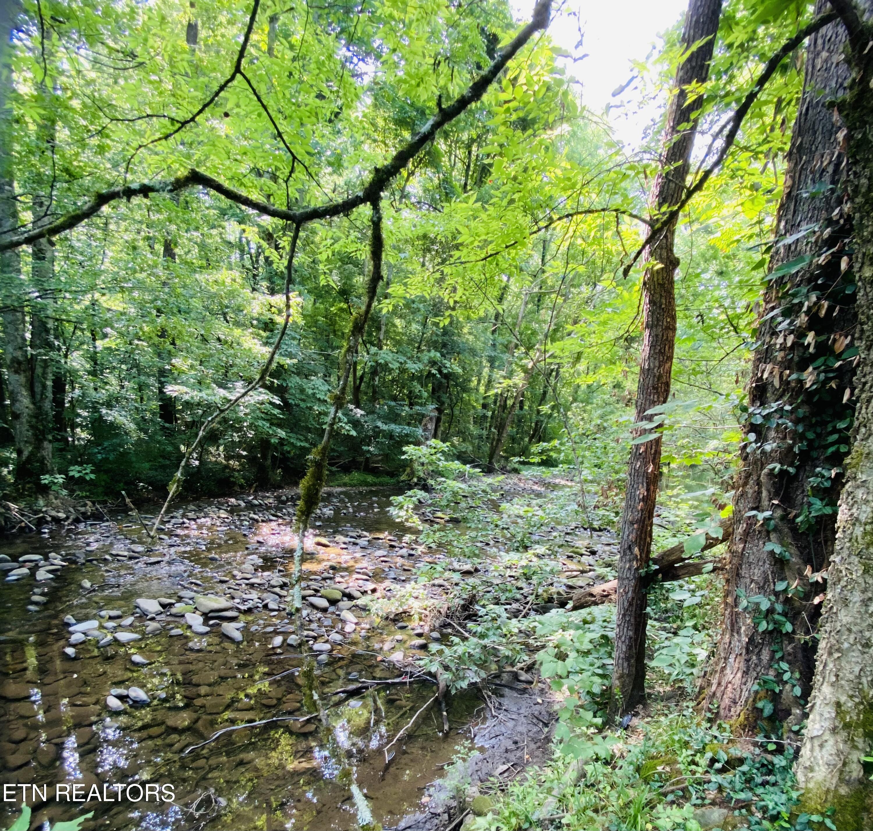 Lot 3-r2 Holders Grove Road Cosby, TN 37722 - Photo 13 of 14 IMG_0979