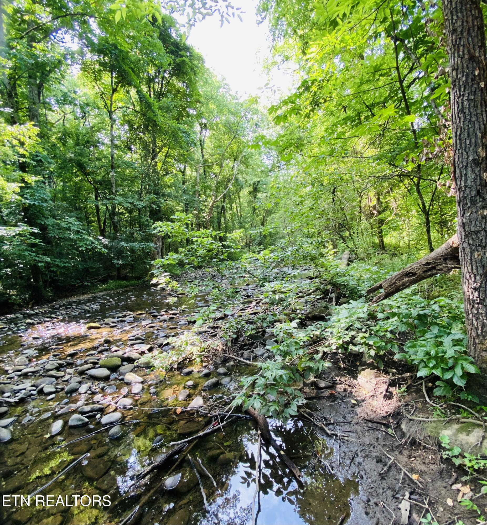 Lot 3-r2 Holders Grove Road Cosby, TN 37722 - Photo 14 of 14 Lot 3R2 Holders Grove Road