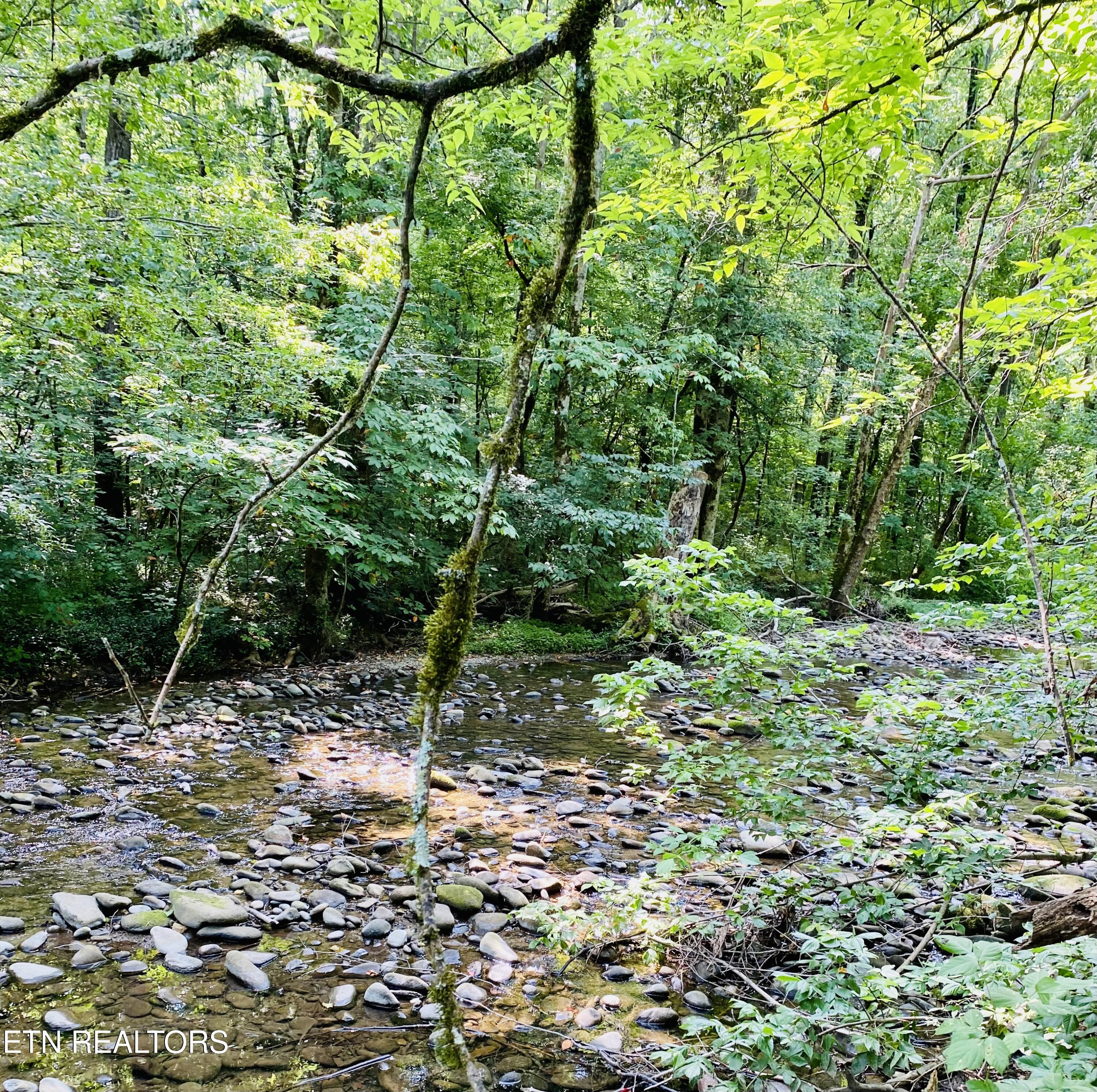 Lot 3-r2 Holders Grove Road Cosby, TN 37722 - Photo 4 of 14 Lot 3R2 Holders Grove Road