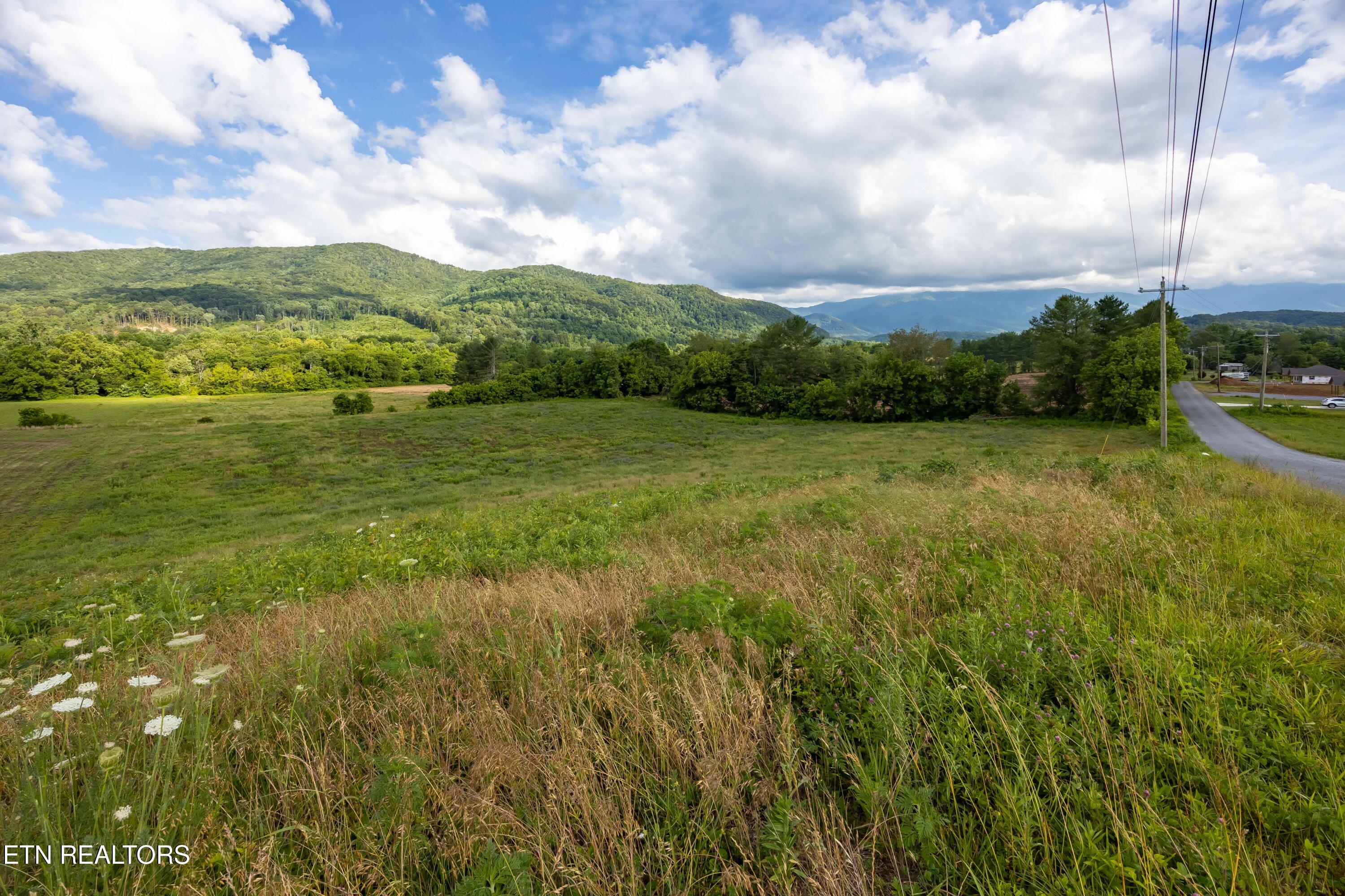 Lot 3-r2 Holders Grove Road Cosby, TN 37722 - Photo 10 of 14 Lot 3R2 Holders Grove Road