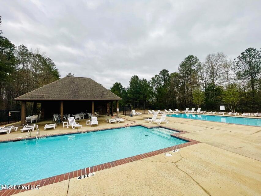 110 Greenfield Ridge Drive Brandon, MS 39042 - Photo 27 of 27 GS pool