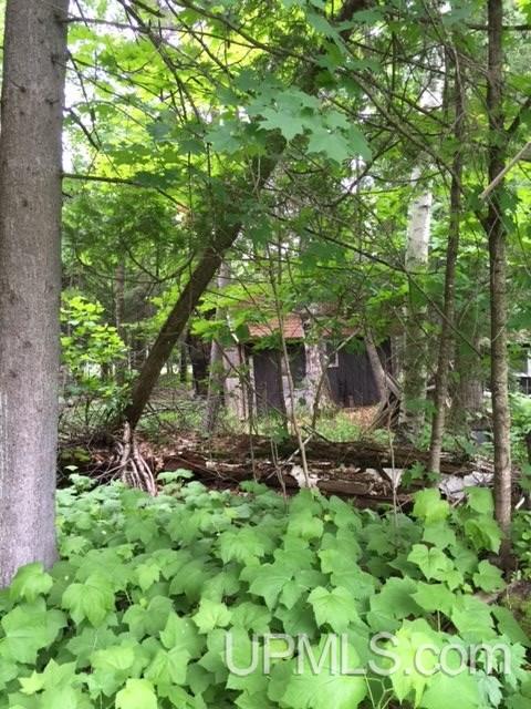 12974 Witz Road Skanee, MI 49962 - Photo 11 of 16 Gallery Image 11