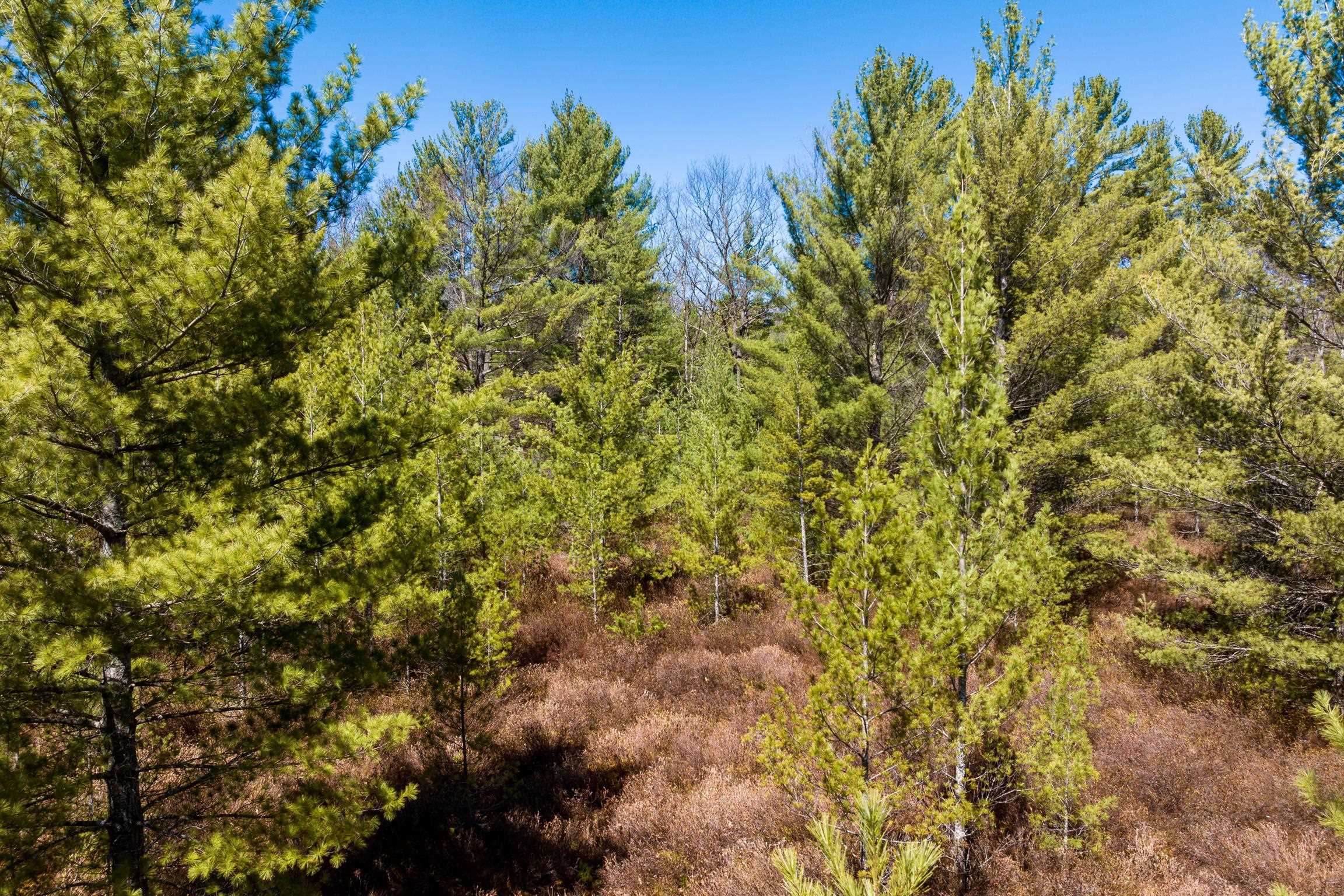 2 Mud Lake Road Interlochen, MI 49643 - Photo 8 of 10
