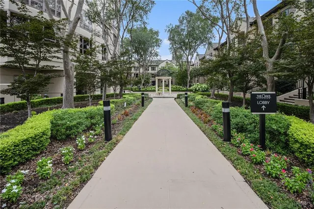 a view of park with large trees