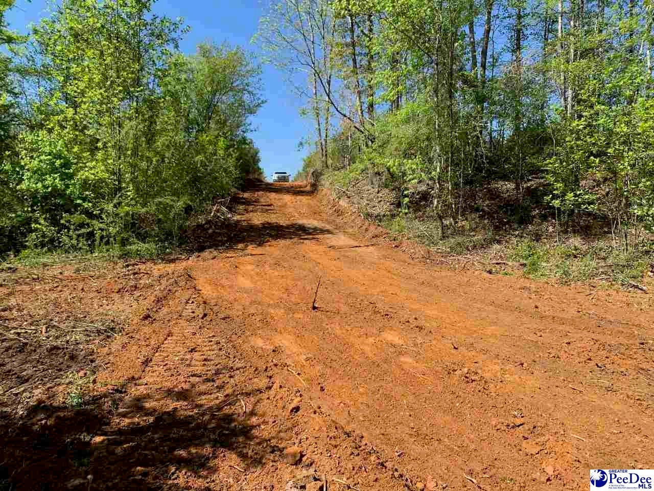 1208 Jackson Road Chesterfield, SC 29709 - Photo 14 of 17 Gallery Image 14
