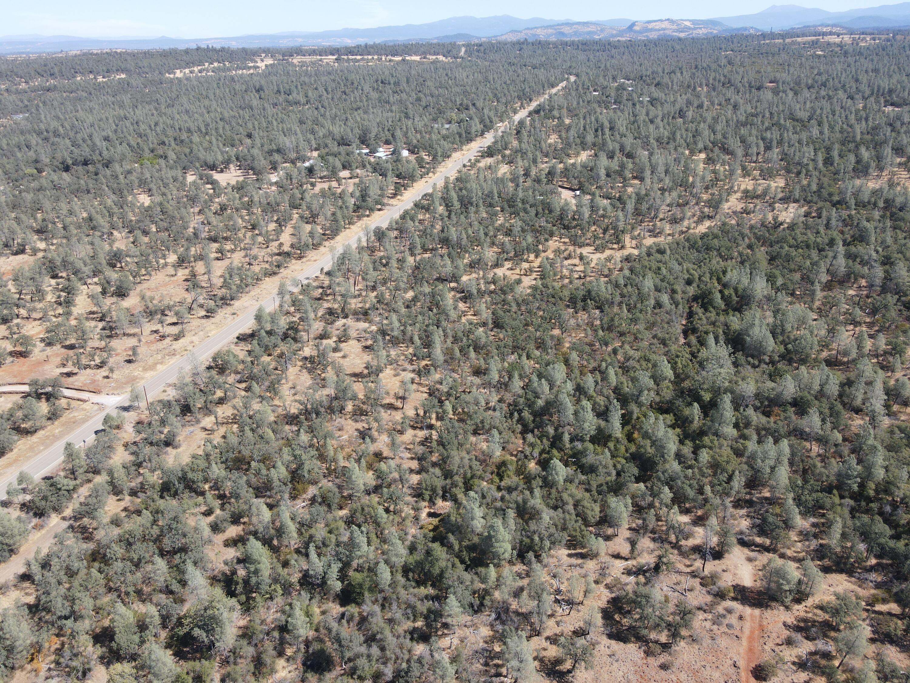 Nsa Dersch Road Shingletown, CA 96088 - Photo 47 of 56 DJI_0663