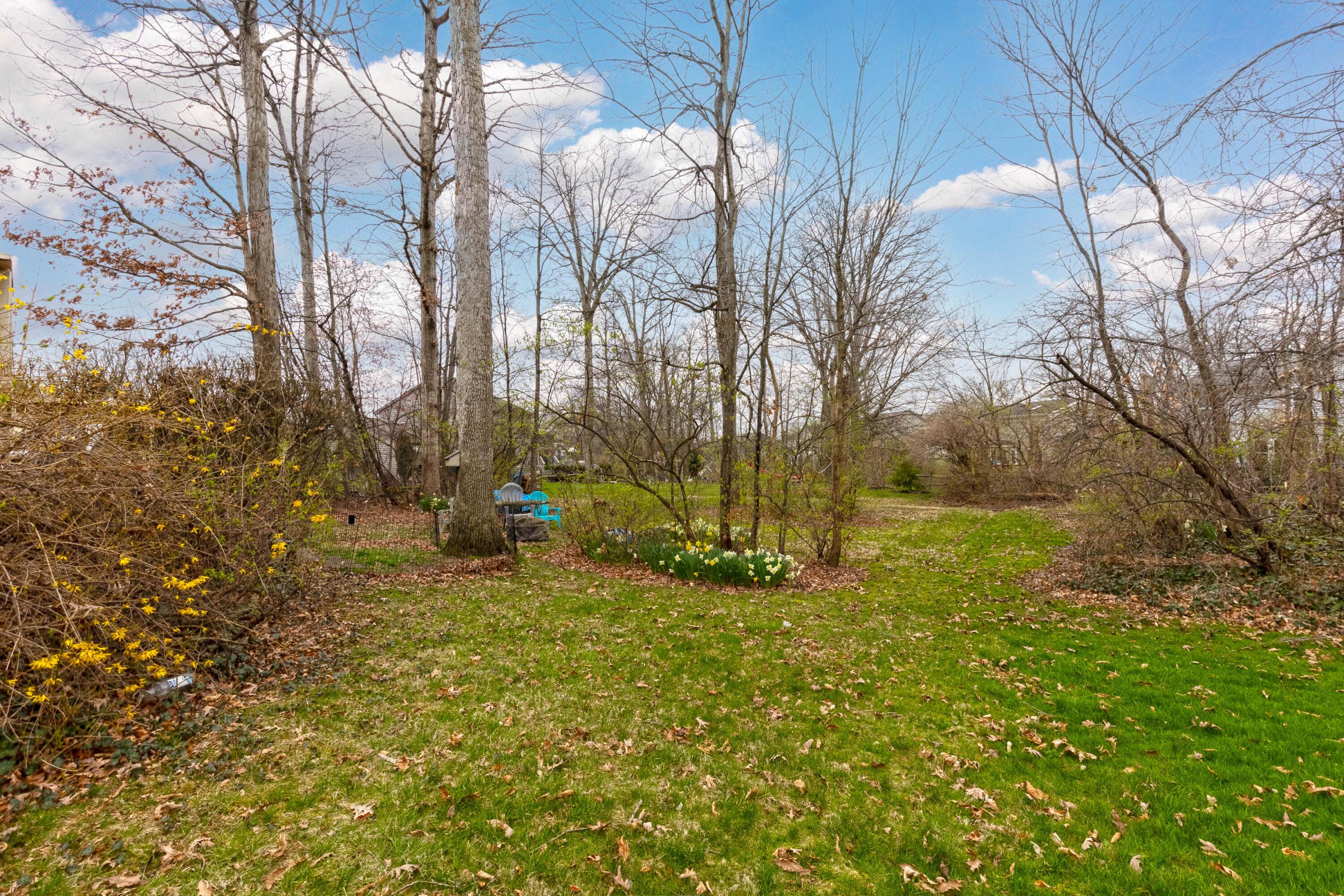 435 Emory Street Gahanna, OH 43230 - Photo 48 of 54 48. Yard