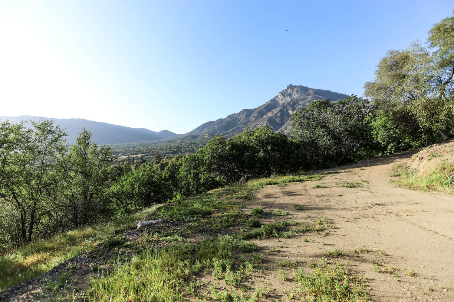 45076 Balch Park Road Springville, CA 93265 - Photo 23 of 46 Large Flat area has been cleared for second building potential. Water and power nearby.