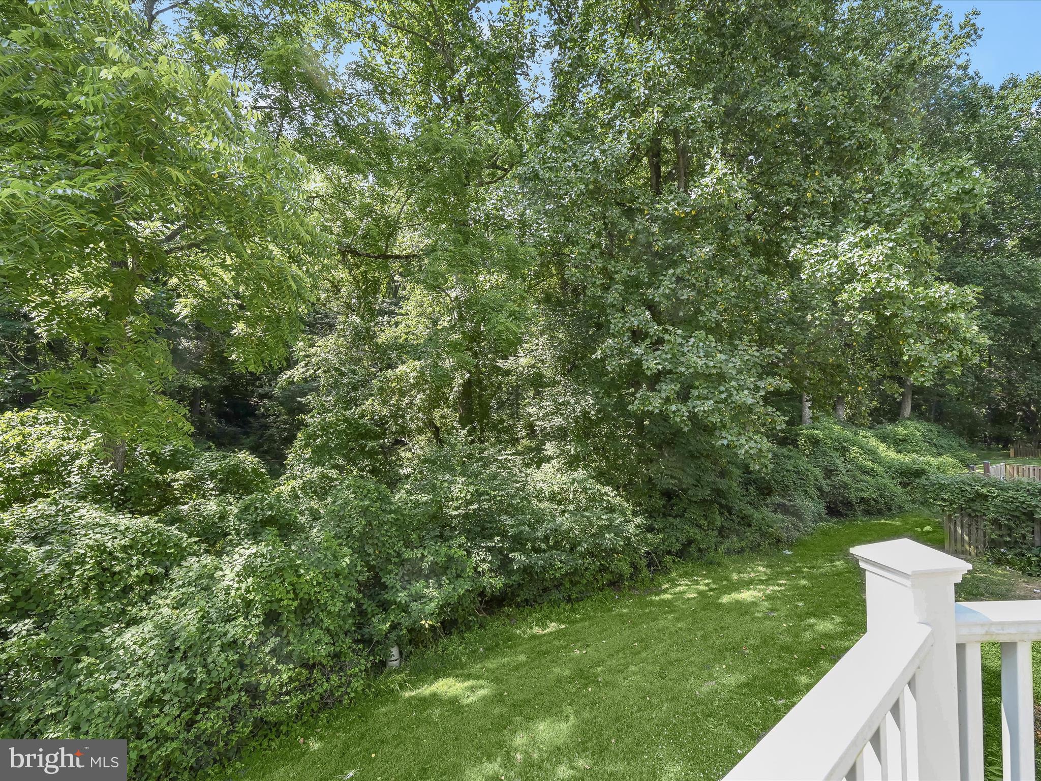 3707 Ferrara Drive Silver Spring, MD 20906 - Photo 36 of 45 Backs to Trees