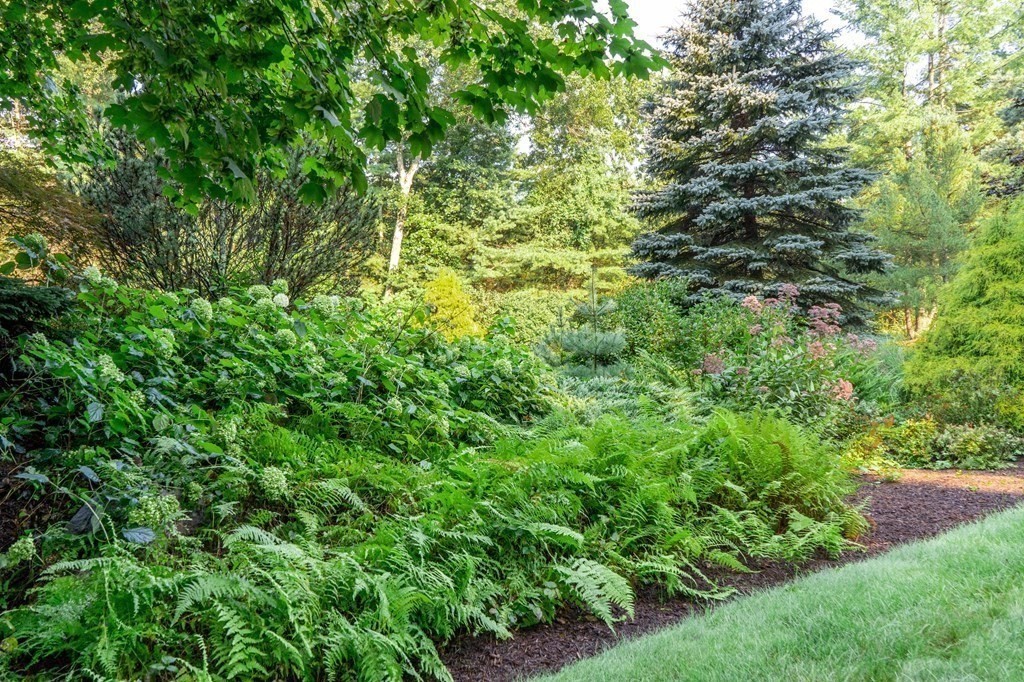 19 Davis Road Carlisle, MA 01741 - Photo 3 of 41 Gallery Image 3