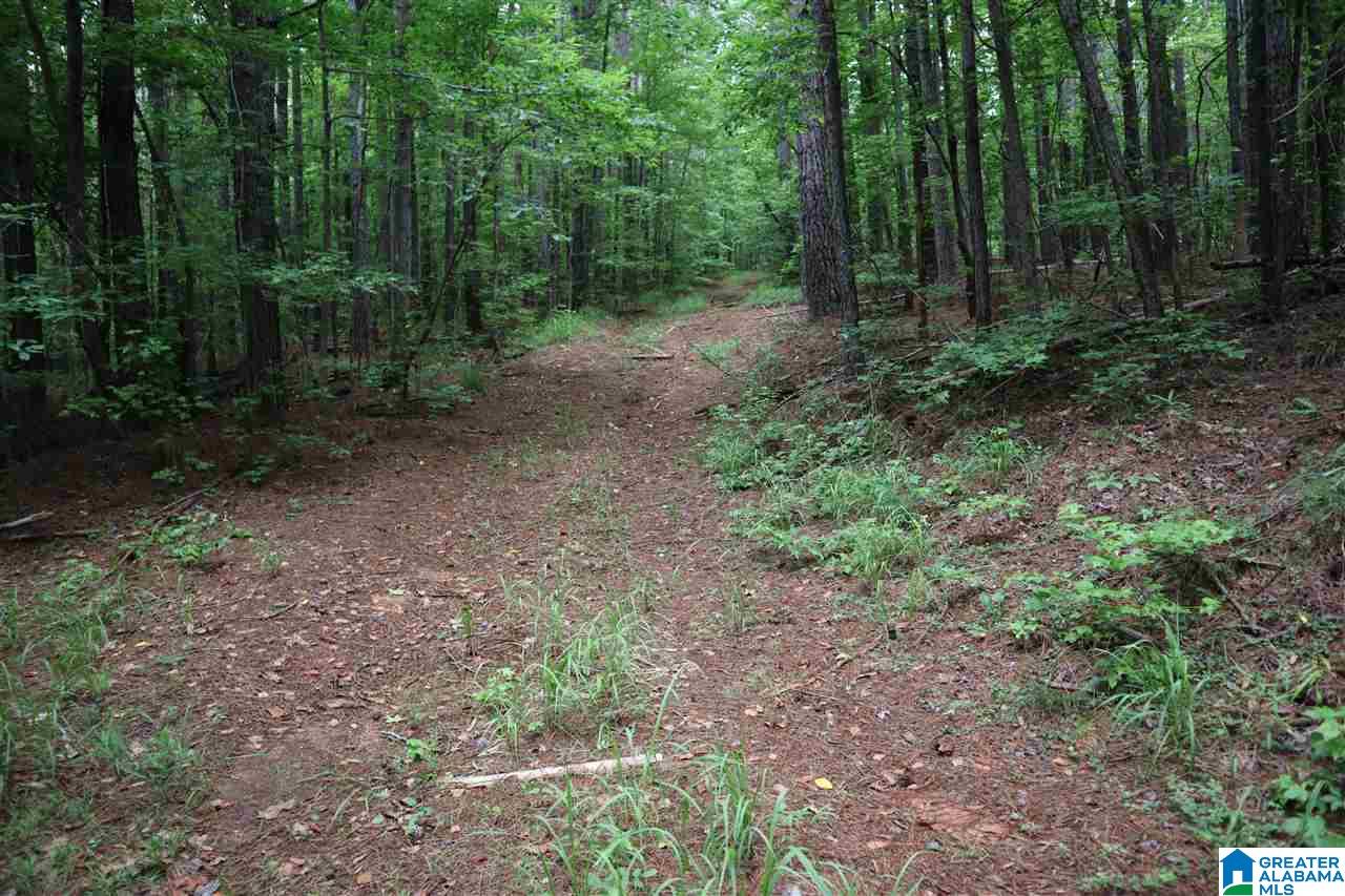0 County Road 61, Unit 366 92 ACRES Fruithurst, AL 36262 - Photo 15 of 26