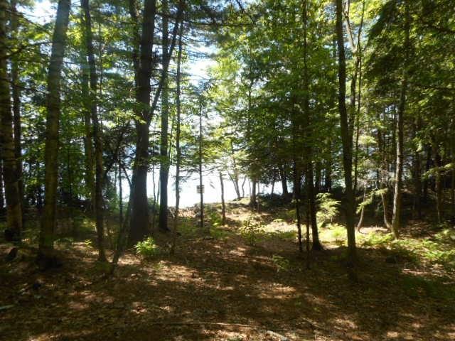 Lot #2 Bluff Road Enfield, ME 04493 - Photo 8 of 9 Photo
