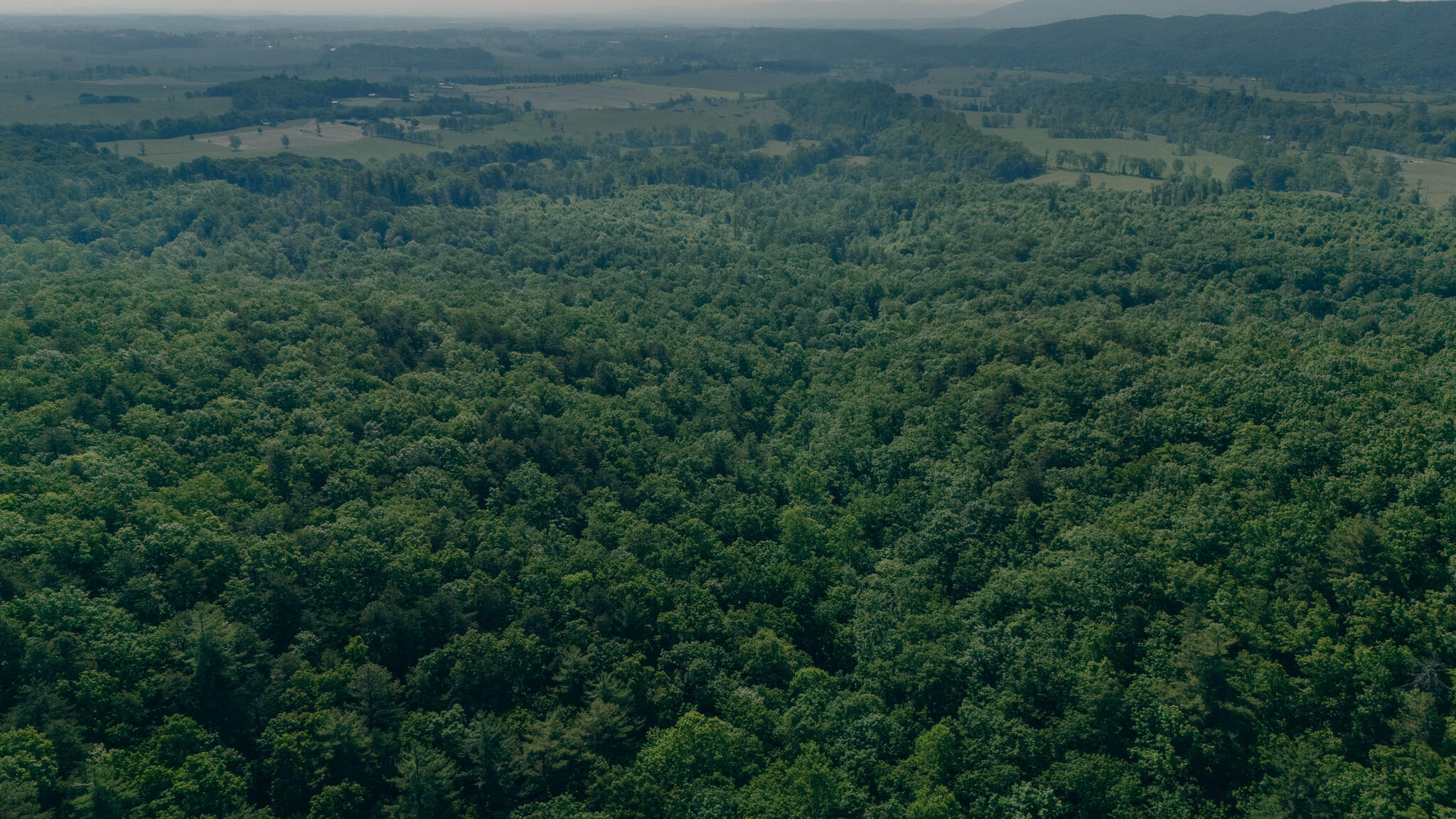 0 Robinson Tract Road Pulaski, VA 24301 - Photo 11 of 37 Tolley pic 27